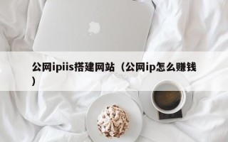 新野公网ipiis搭建网站（公网ip怎么赚钱）
