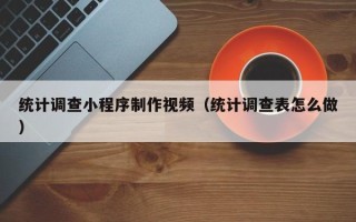 新野统计调查小程序制作视频（统计调查表怎么做）