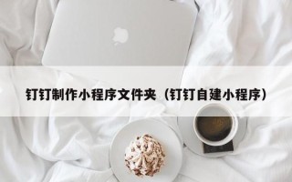 新野钉钉制作小程序文件夹（钉钉自建小程序）