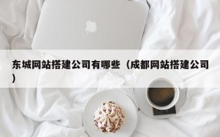 新野东城网站搭建公司有哪些（成都网站搭建公司）